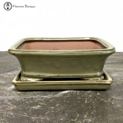 Olive Rectangle Bonsai Pot & Undertray (19cm)