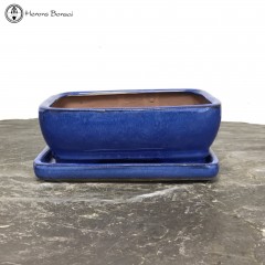 Blue Rectangle Bonsai Pot & Undertray (18cm)
