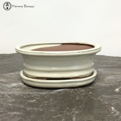 Cream Oval Bonsai Pot & Undertray (18.5cm)