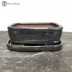 Metallic Rectangle Bonsai Pot & Undertray (19.5cm)