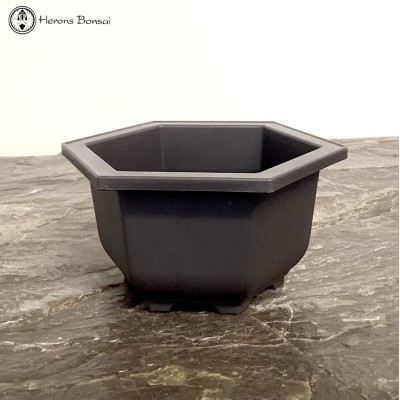 Deep Octangular Plastic Bonsai Pot 15cm