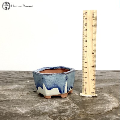 Mame (Miniature) Bonsai Pot (7.5cm) | Blue Hexagon 