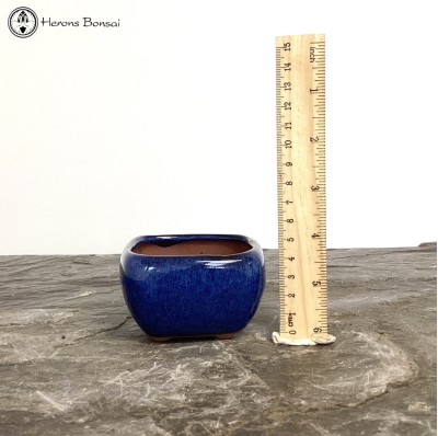 Mame (Miniature) Bonsai Pot (8cm) | Blue Square