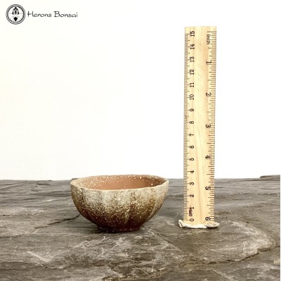 Mame (Miniature) Bonsai Pot (8cm) | Speckled Unglazed 