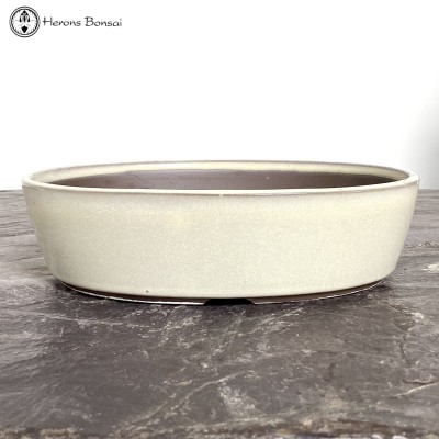 Mizutani Cream Oval Ceramic Bonsai Pot (18.5cm) 