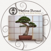 herons bonsai gift vouchers