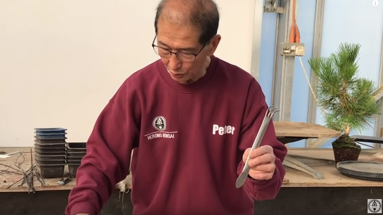 stainless steel japanese rake