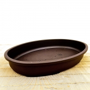 › Shallow Oval Plastic Bonsai Pots