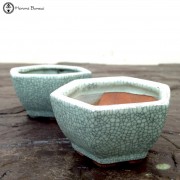 Mame/Shohin Bonsai Pots