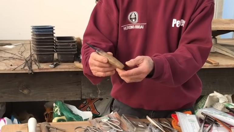 Peter holding knife tool