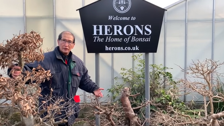 Peter stood at Herons bonsai nursery entrance