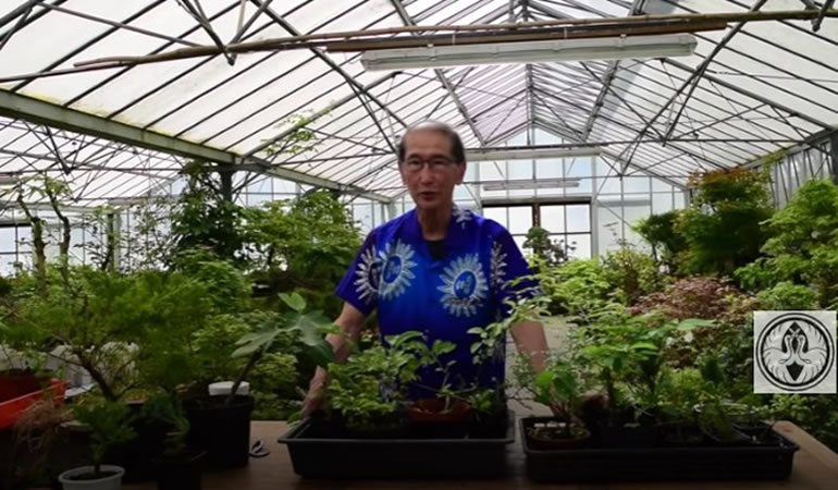 peter in greenhouse