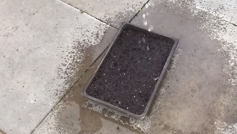 water running into tray